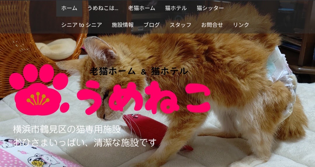 うめねこ