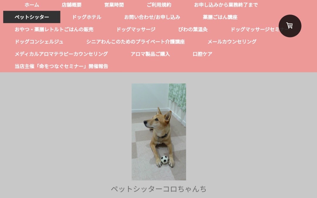ペットシッターコロちゃんち