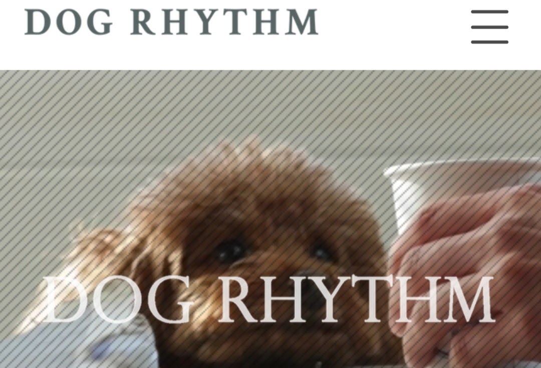 DOG RHYTHM 目黒店