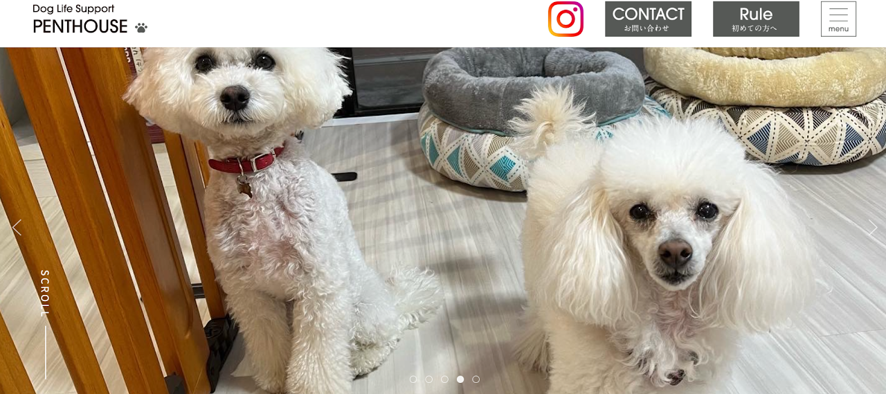 Dog Life Support PENTHOUSE