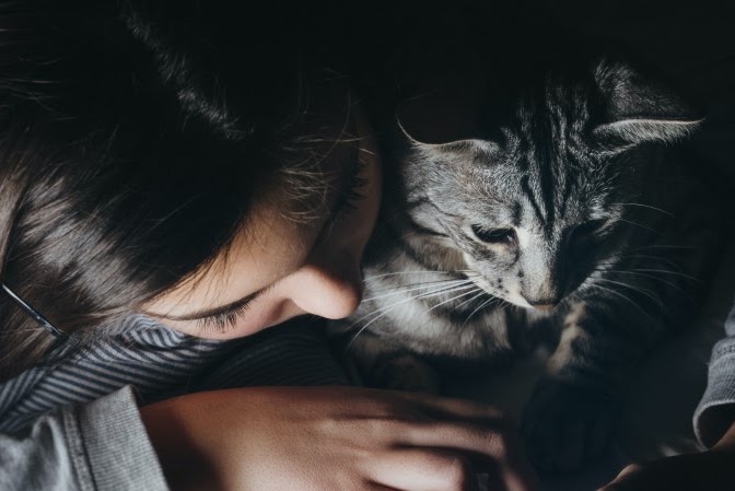 猫の世話について