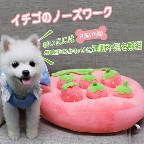 YCYHHHW　知育玩具 ノーズワーク にんじん畑