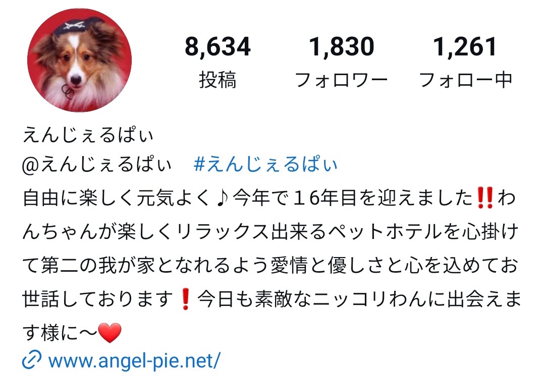 Angel Pie（エンジェルパイ）