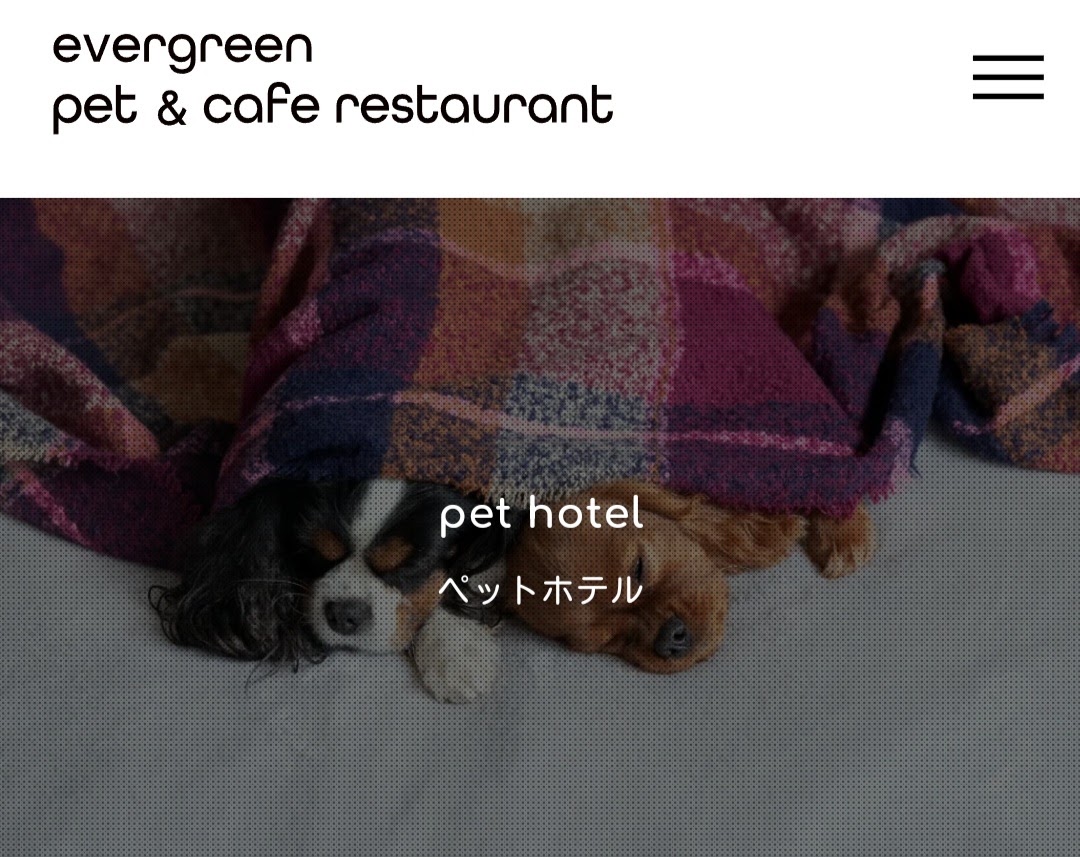 evergreen pet 恵比寿店
