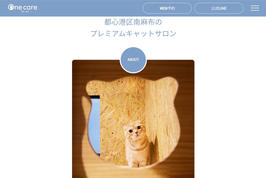 One care for cat