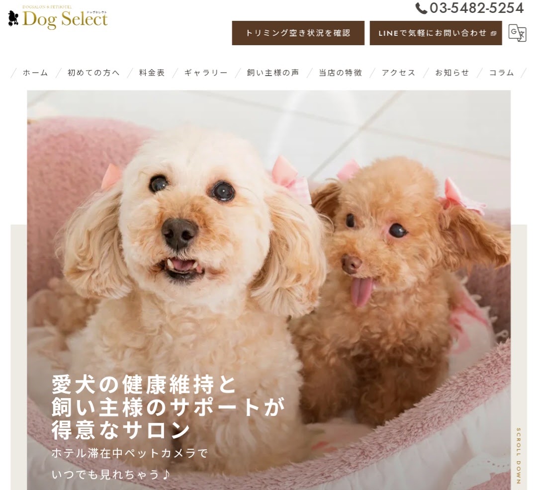Dog Select