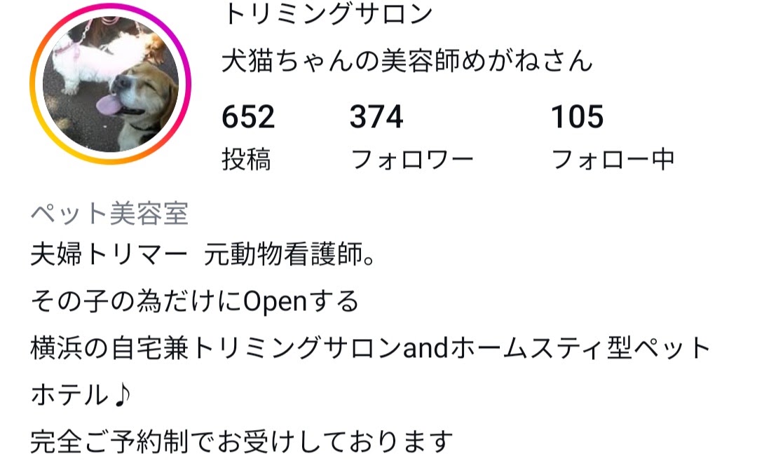 犬猫ちゃんの美容師めがねさん