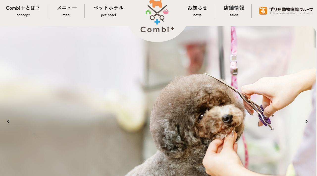Combi⁺