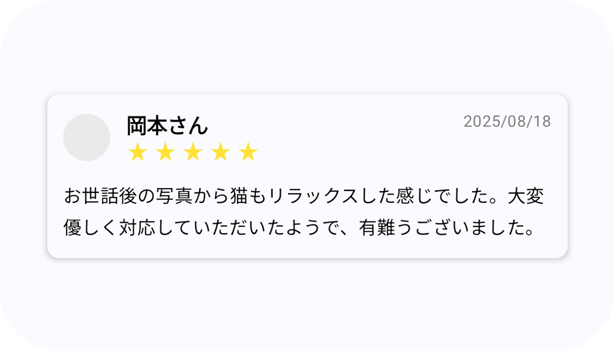 コセワ 感想