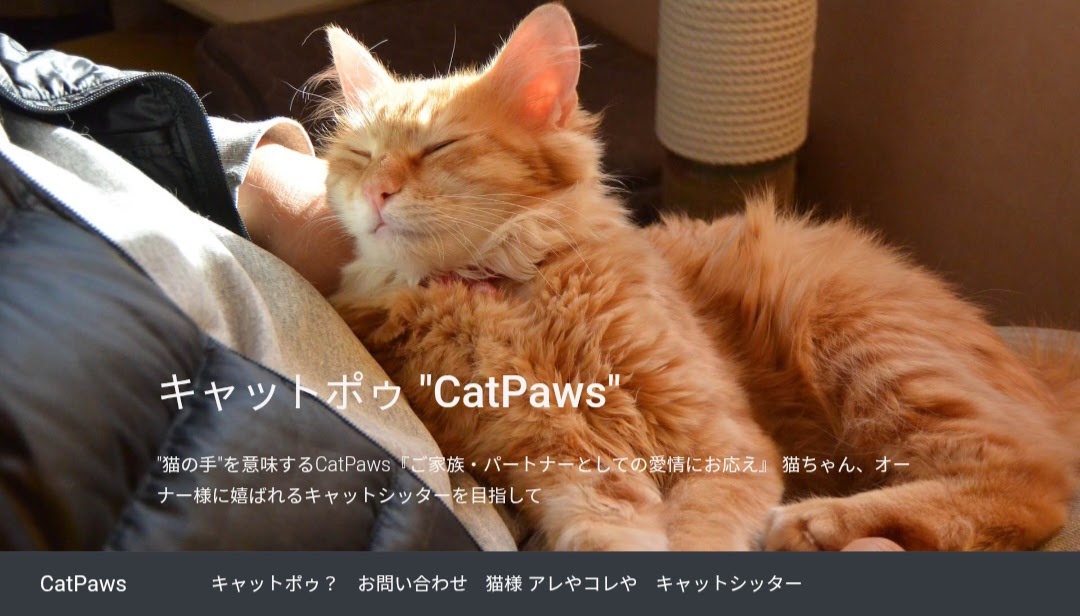 CatPaw（キャットポウ）