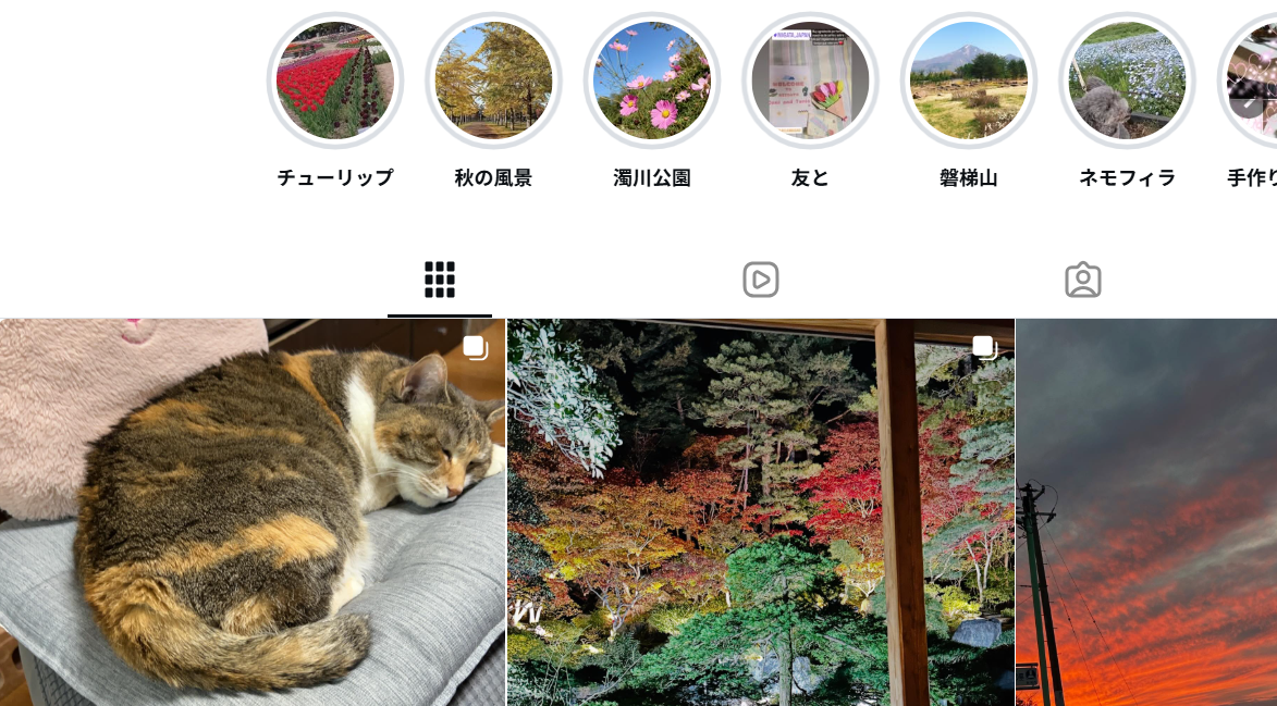 ペットシッターアロエ