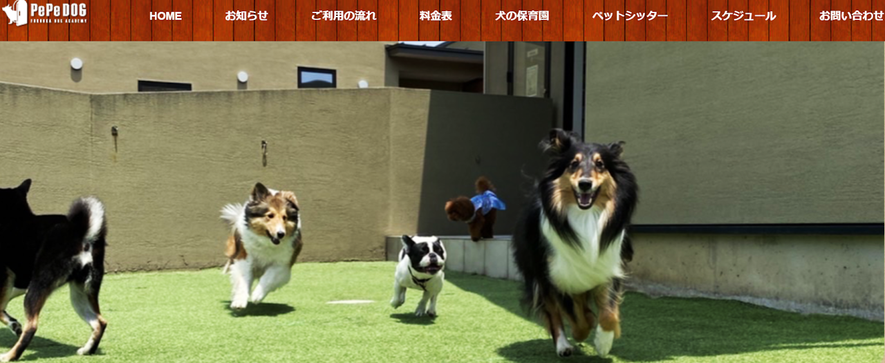PePeDOG（ペペドッグ）