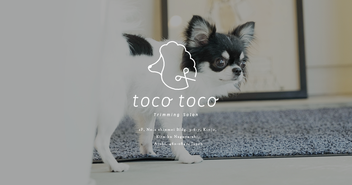 tocotoco（トコトコ）