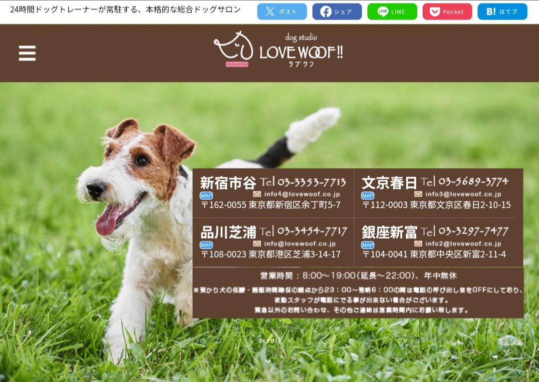ドッグスタジオ ラブワン!!文京春日店