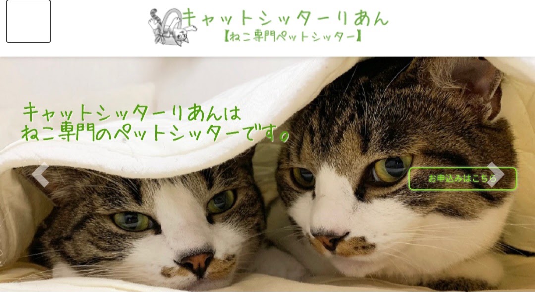 キャットシッターりあん