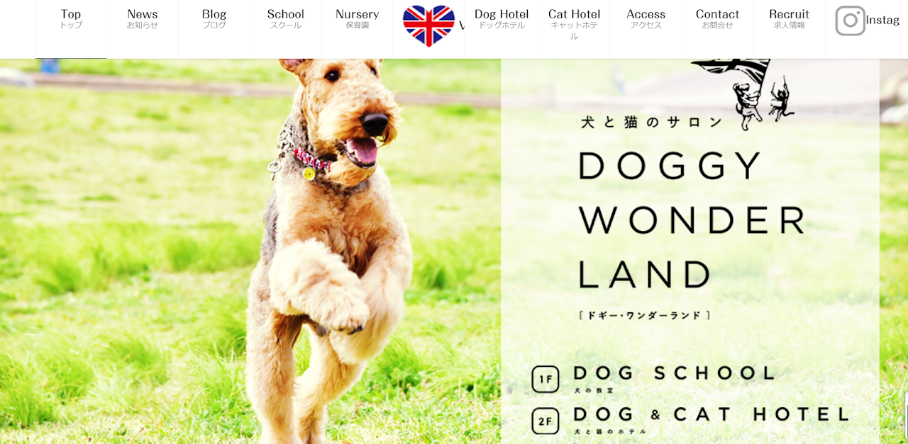 Doggy Wonderland（ドギーワンダーランド）