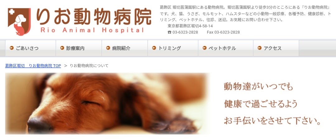 りお動物病院