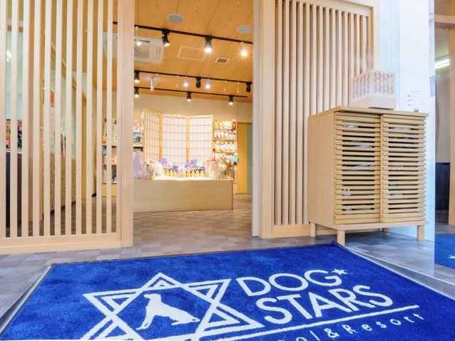 DOGSTARS★School＆Resort