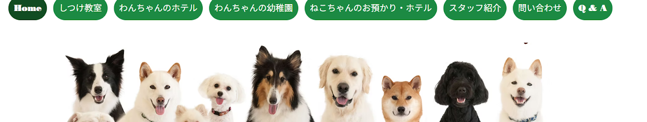 ドッグライフパートナーハレ