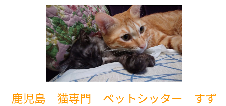 ペットシッター すず