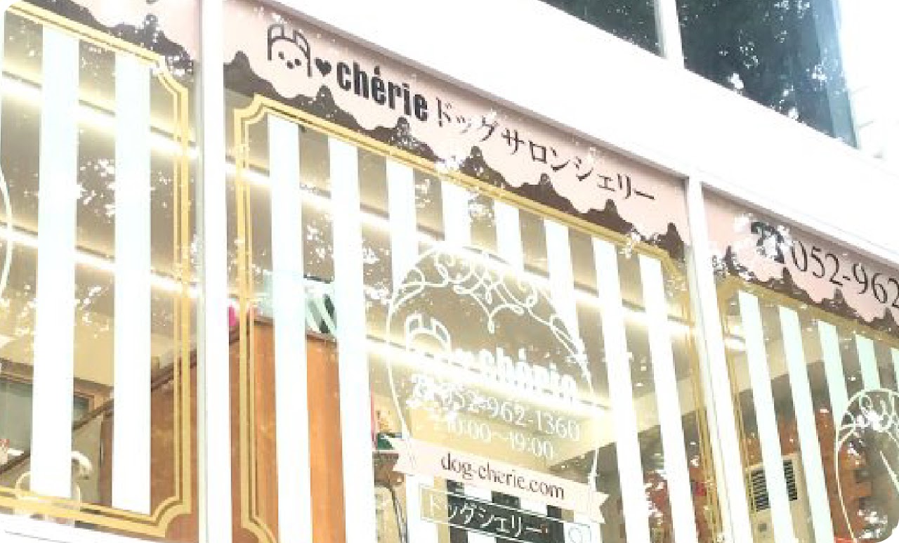 ドッグサロンシェリー泉店