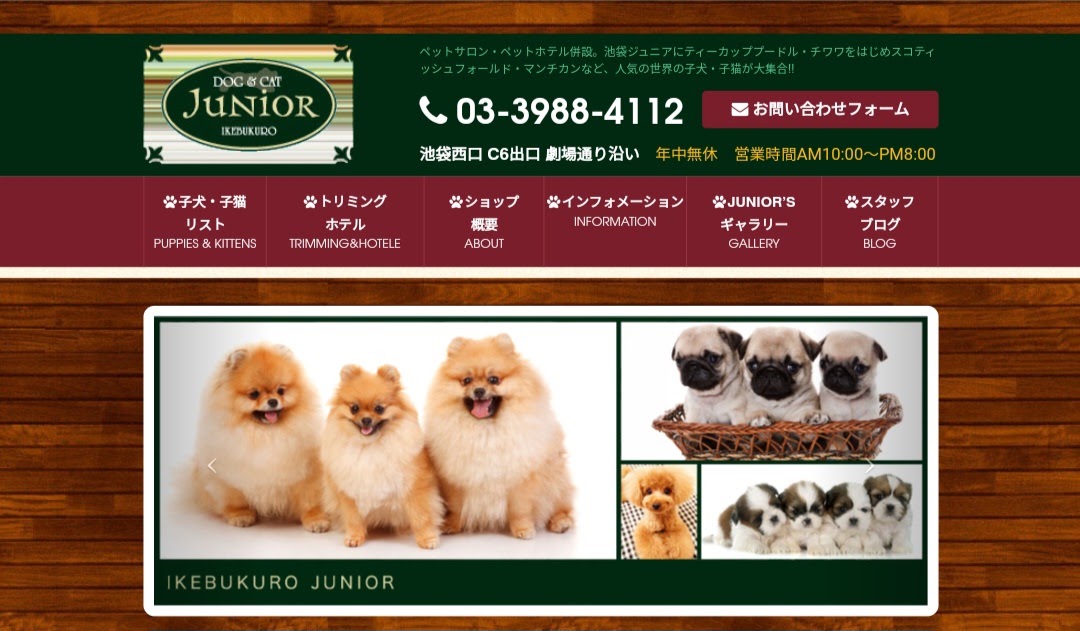 ペットショップ池袋ジュニア