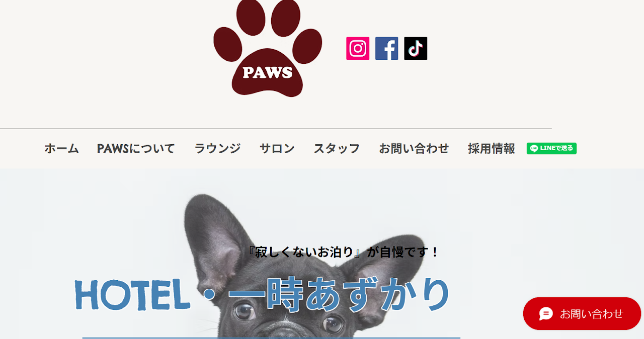 Dog Lounge PAWS