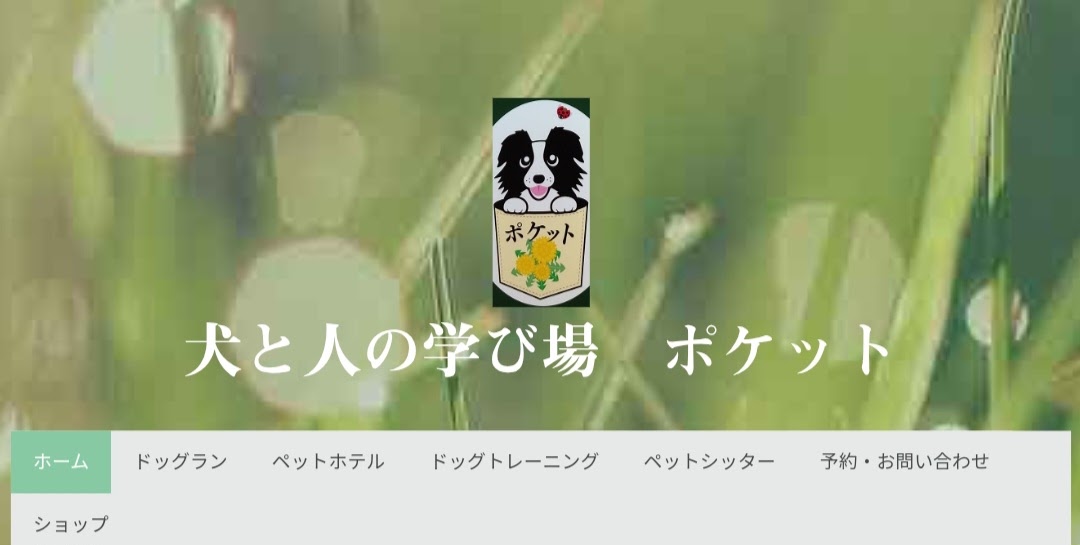 犬と人の学び場 ポケット