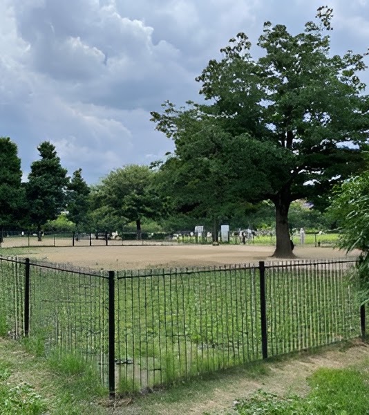 木場公園ドッグラン