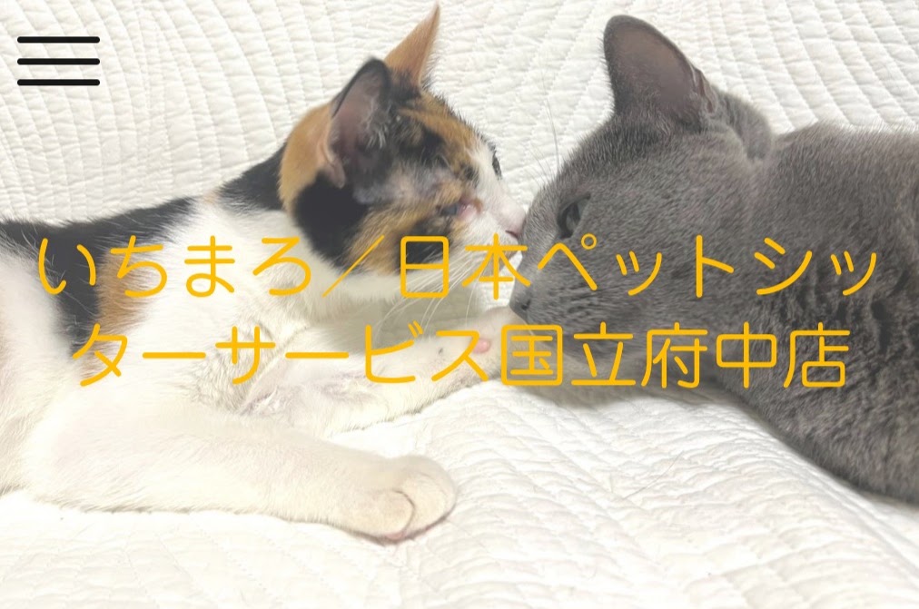 いちまろ／日本ペットシッターサービス国立府中店