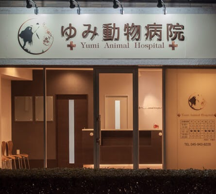 ゆみ動物病院