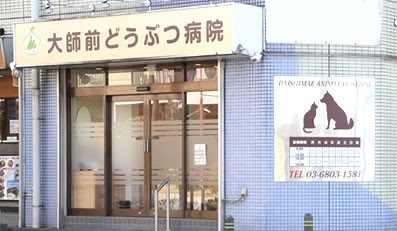 大師前どうぶつ病院