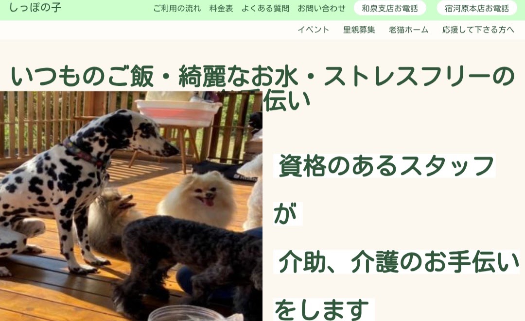 ペットシッター しっぽのこ