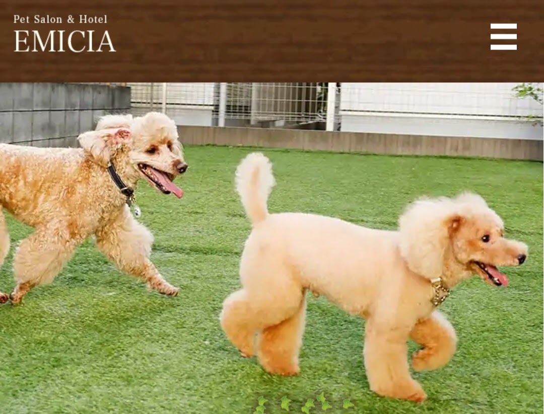 PET SALON EMICIA（ペットサロン エミシア）