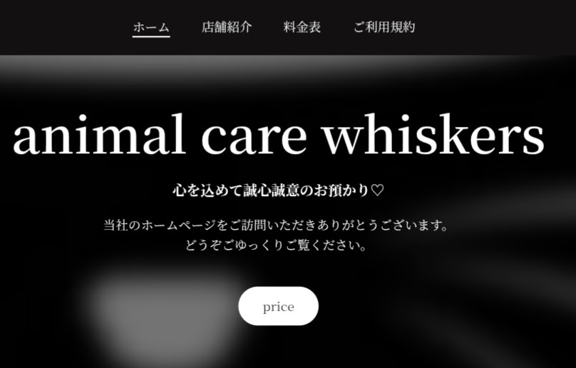 animal care Whiskers（ウィスカーズ）