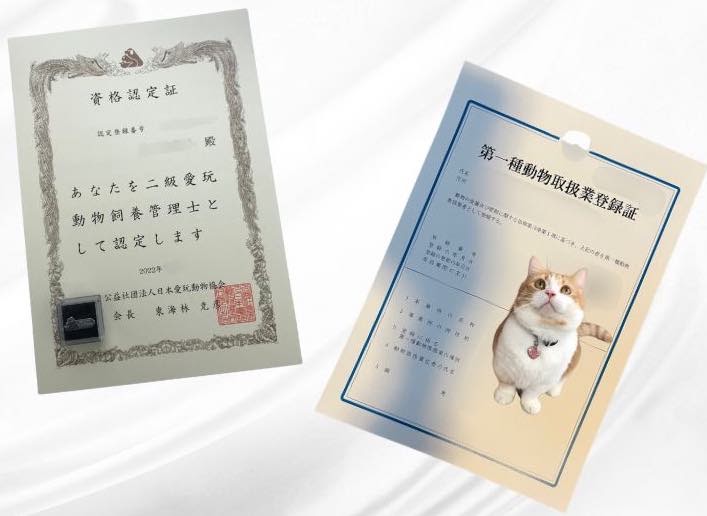 キャッツカールトン横浜の資格・認証
