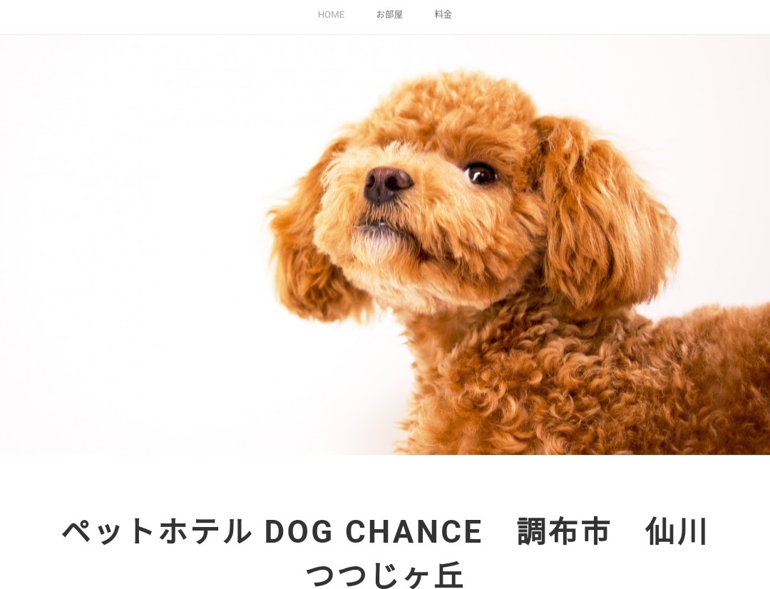 ペットホテル DOG CHANCE