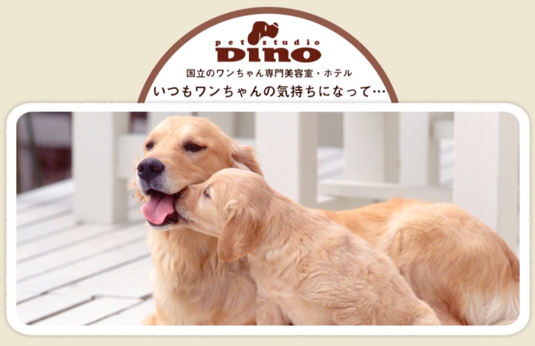 ペットスタジオディノ