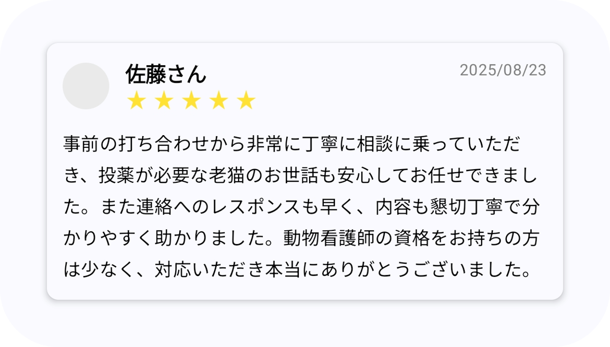 こせわ 評価