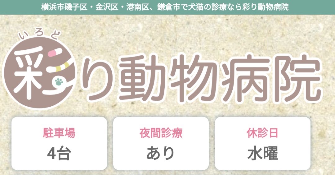 彩り動物病院