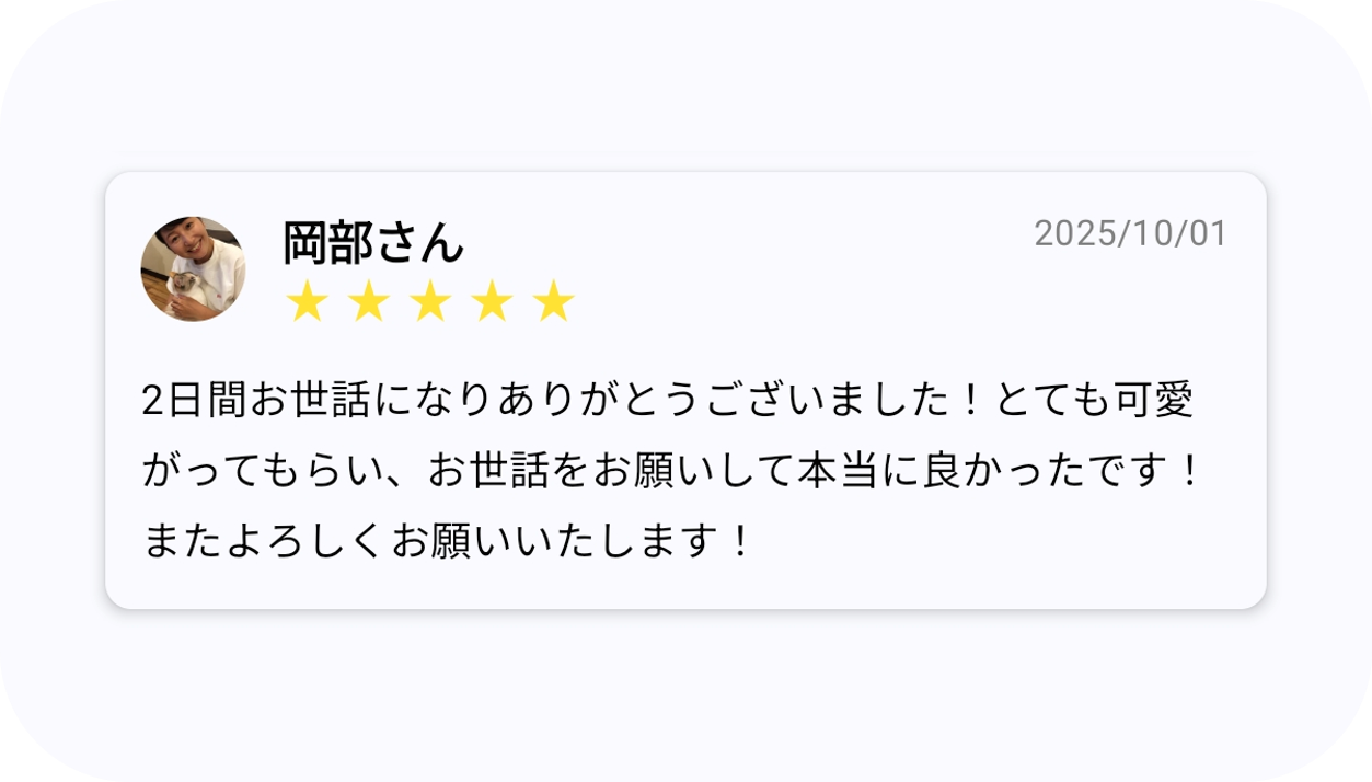 こせわ 口コミ