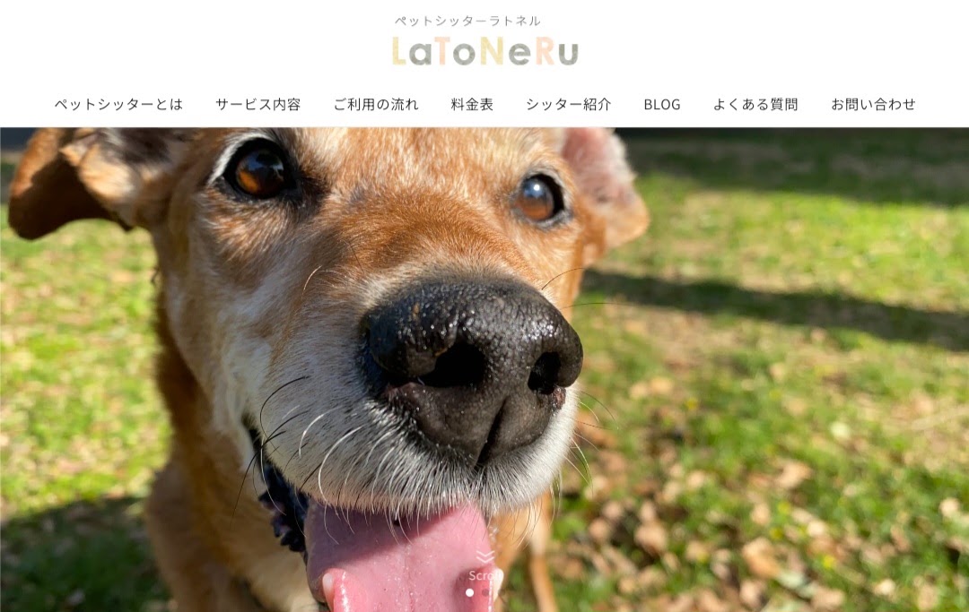 PetSitter LaToNeRu