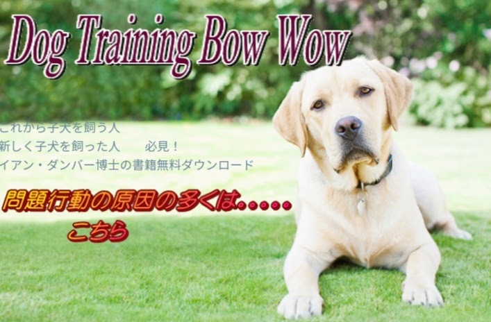 Dog Training Bow Wow