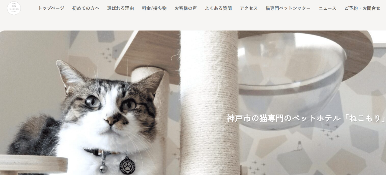 ねこもり