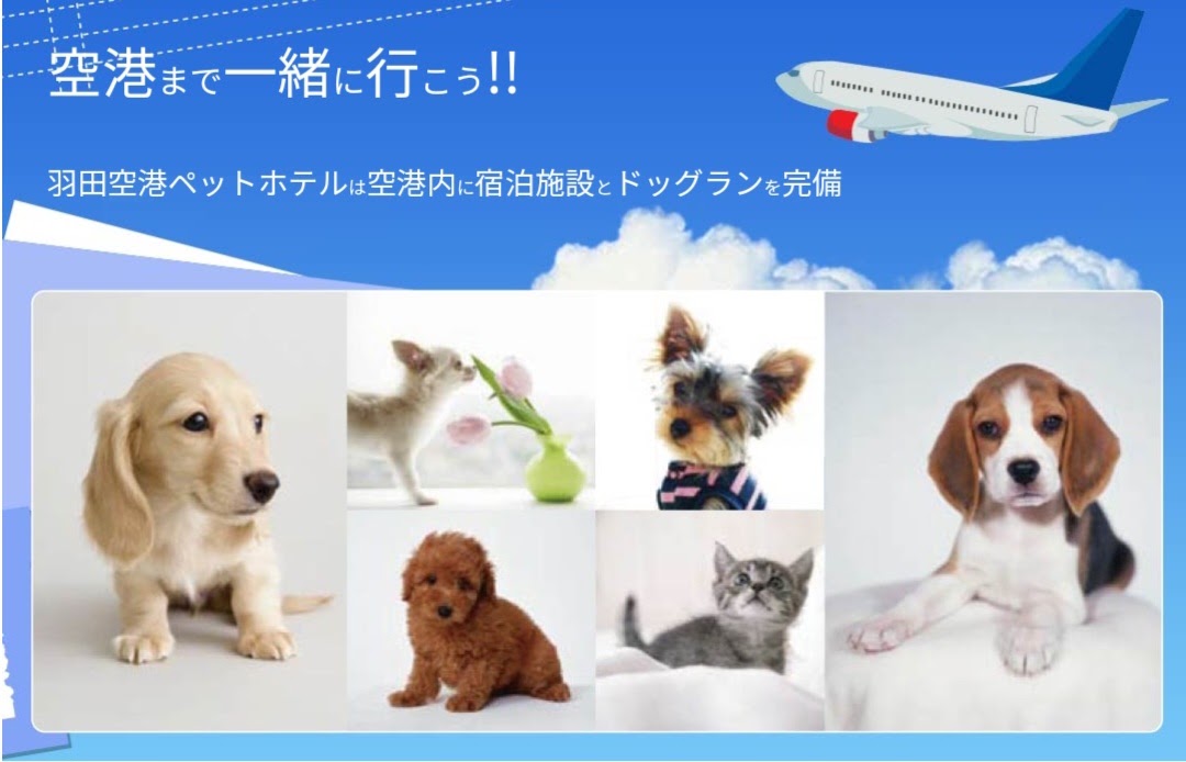 羽田空港内ペットホテル