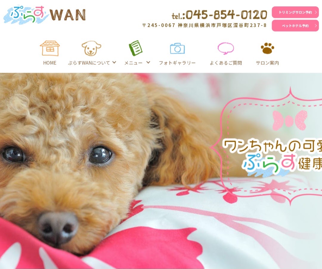ぷらすWAN