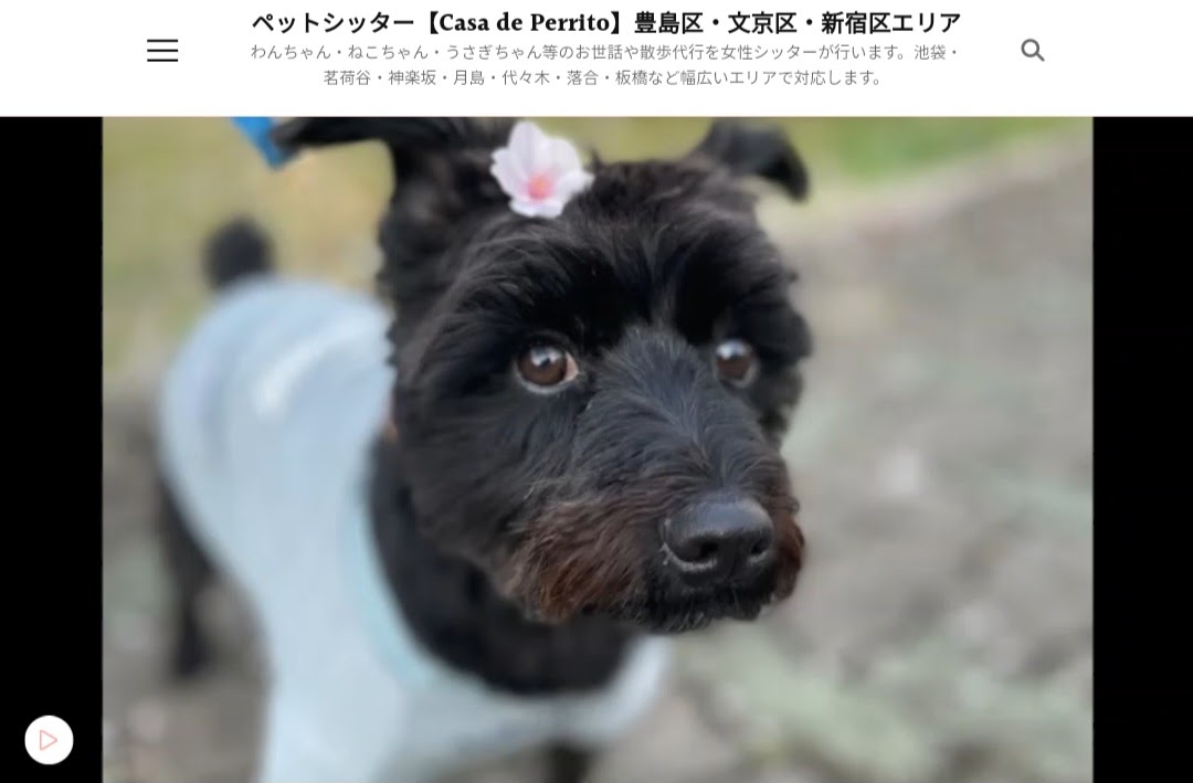 ペットシッターCasa de Perrito