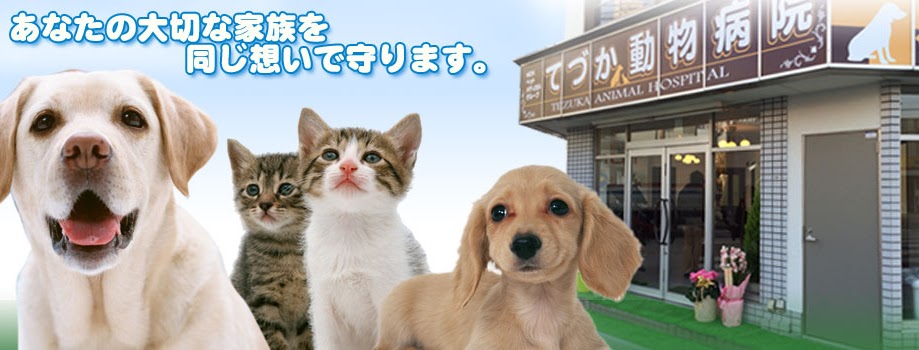 てづか動物病院