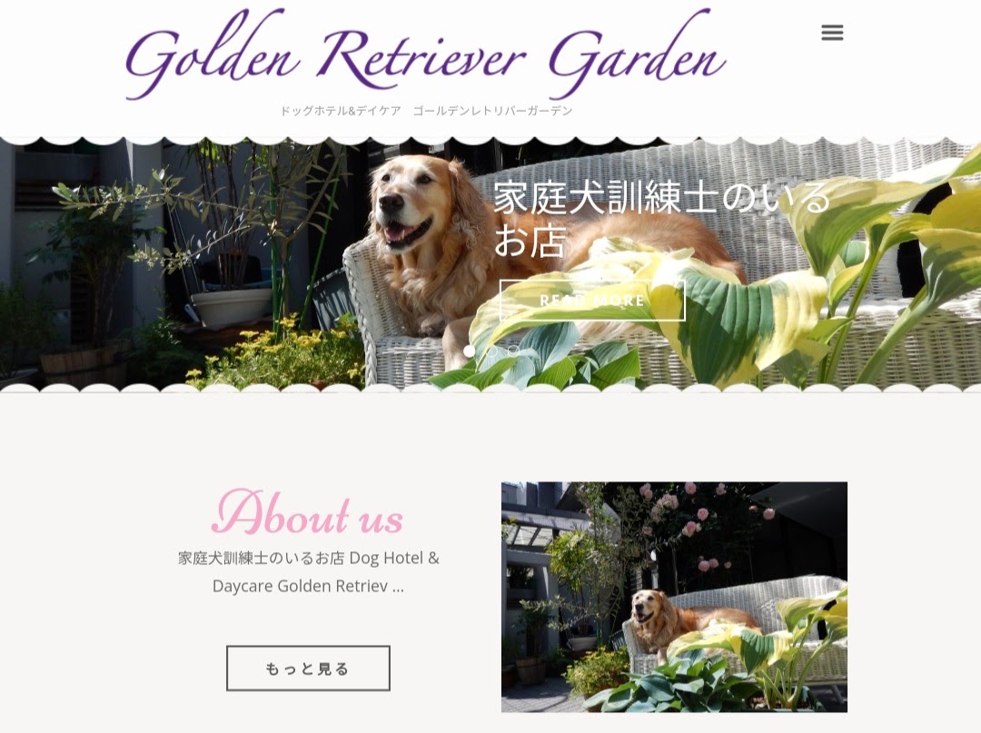 Dog Hotel & Daycare Golden Retriever Garden