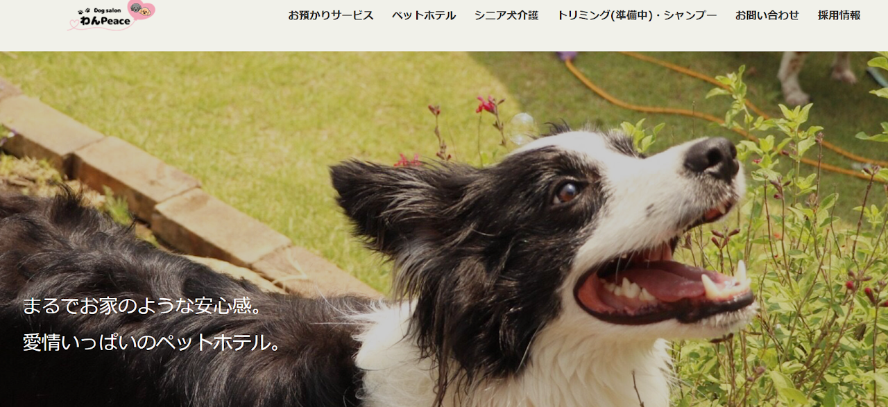 わんPeace